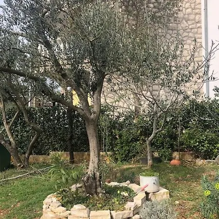 Lanadoti Apartment Seline